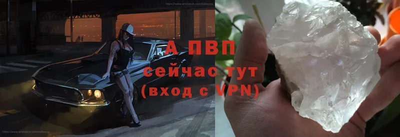 A-PVP VHQ  Гатчина 